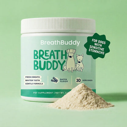 Daily Dental Powder for Fresh Breath & Clean Teeth