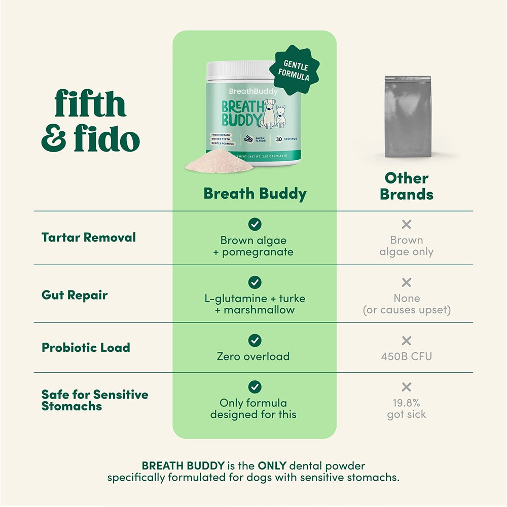 Daily Dental Powder for Fresh Breath & Clean Teeth